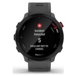 Garmin Forerunner 55 42mm Monterra Grey - Image 2