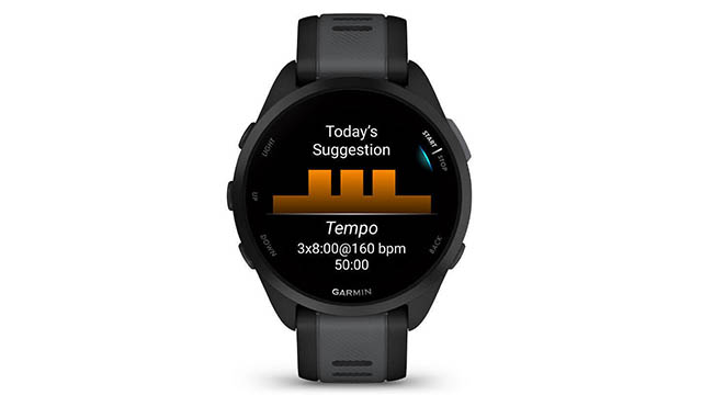 garmin165(2)